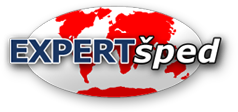 expert header logo